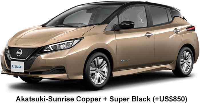 Nissan Leaf Color: Sunrise Copper + Super Black