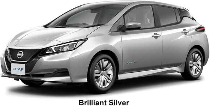 Nissan Leaf Color: Brilliant Silver