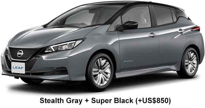 Nissan Leaf Color: Stealth Gray + Super Black