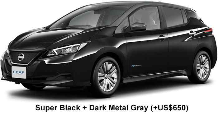 Nissan Leaf Color: Super Black + Dark Metal Gray