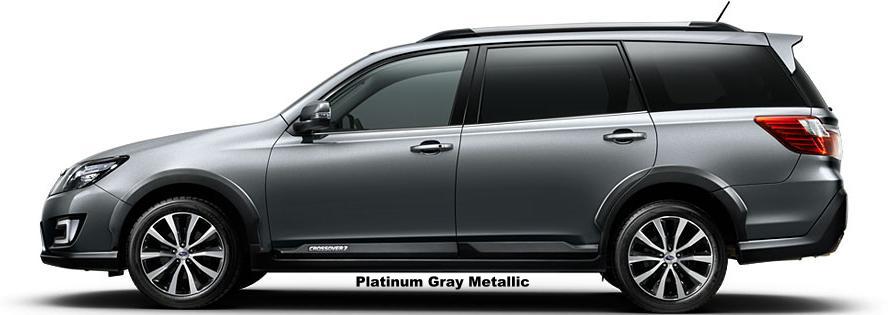 PLATINIUM GRAY METALLIC